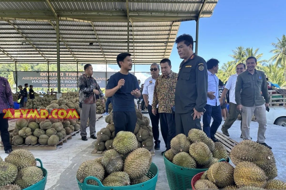 Pemprov Sulteng Dorong Ekspor Frozen dan Pasta Durian ke Tiongkok