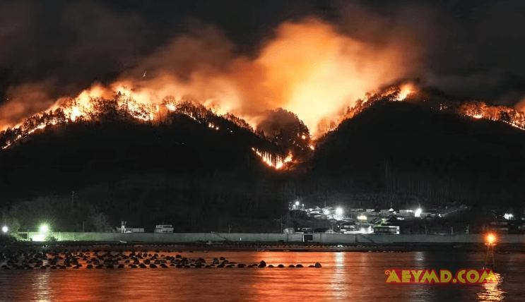 Kebakaran Hutan Terburuk di Jepang Berhasil Dipadamkan